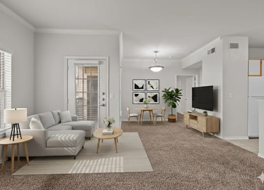 A living room with a grey couch, a coffee table, a television, and a potted plant.