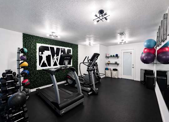 A gym with a treadmill, weights, and exercise balls.