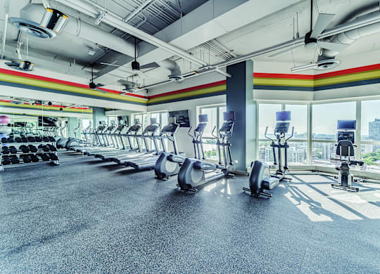 A gym with treadmills and elliptical machines.
