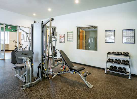 A gym with a weight bench, a leg press machine and a rowing machine.
