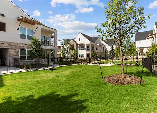 A tree in a grassy area in front of apartment buildings.