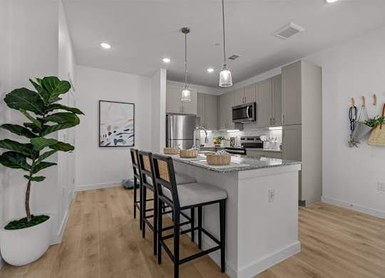 A kitchen with a white counter and a plant in a white pot.