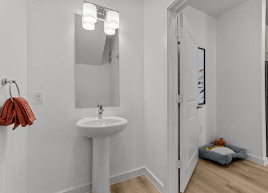 A bathroom with a white sink and a mirror above it.