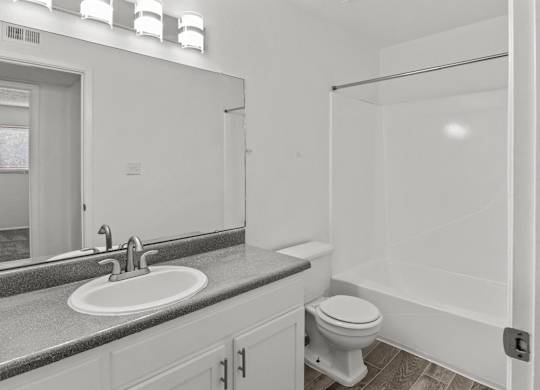 a bathroom with a sink and a toilet and a shower