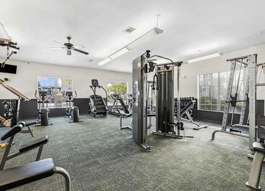 A spacious gym with a variety of equipment including treadmills, weights, and a bench.