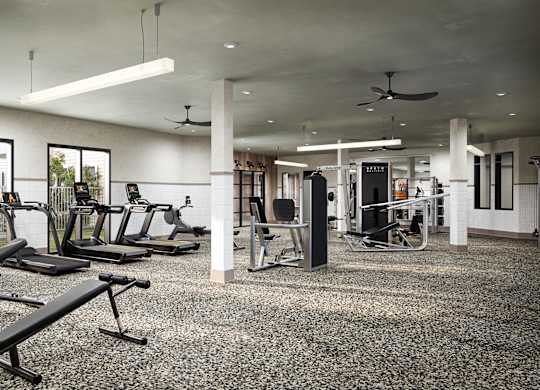 A gym with a variety of equipment including treadmills, weights, and a bench press.