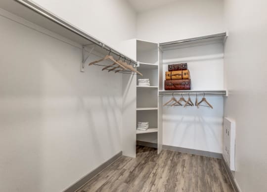 a walk in closet with white walls and wood flooring and a mirrored closet door