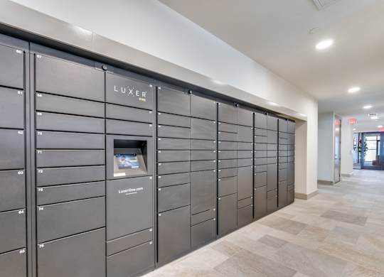 A row of black LUXER branded mailboxes are lined up on a wall.