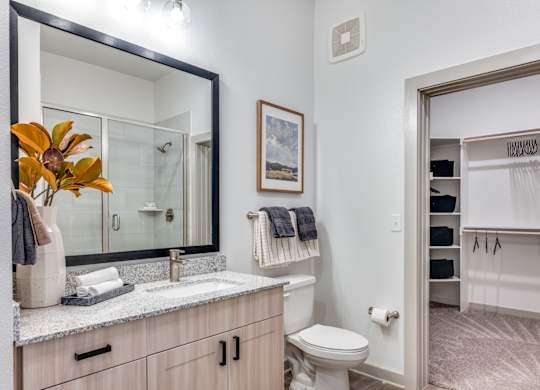 A bathroom with a sink, mirror, toilet, and a closet.