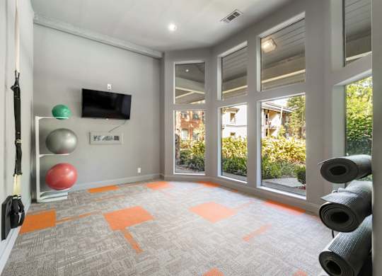 state of the art fitness center in webster apartments