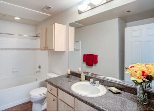 a bathroom with a sink and a toilet and a bath tub