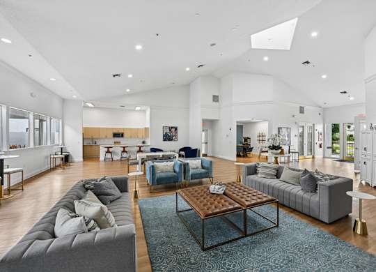 A spacious living room with a grey sofa, a brown coffee table, and a blue rug.