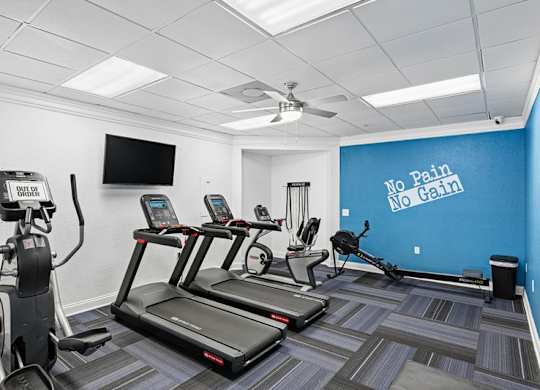 A gym with treadmills, elliptical machines, and a television.
