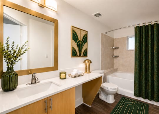 A bathroom with a green rug and a green plant.