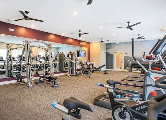 A gym with a variety of equipment including treadmills, weights, and exercise machines.