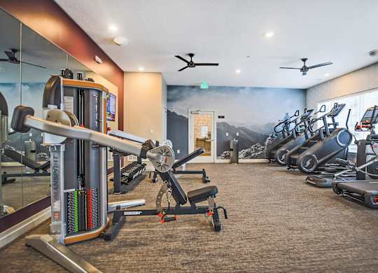 A gym with a variety of exercise equipment including treadmills, stationary bikes, and weight machines.