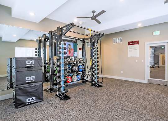 A gym room with a weight rack, a fan, and a row of exercise balls.