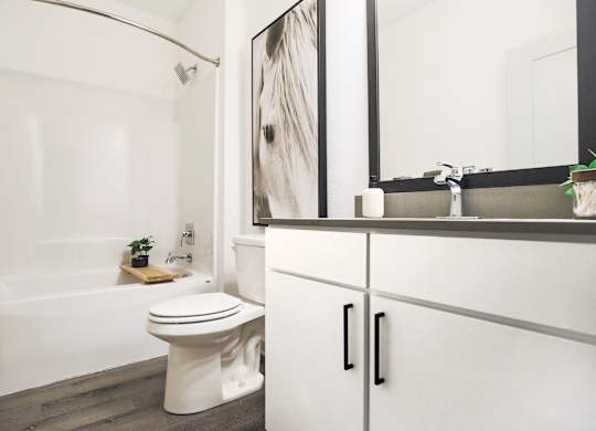 A white toilet sits next to a bathtub in a bathroom.
