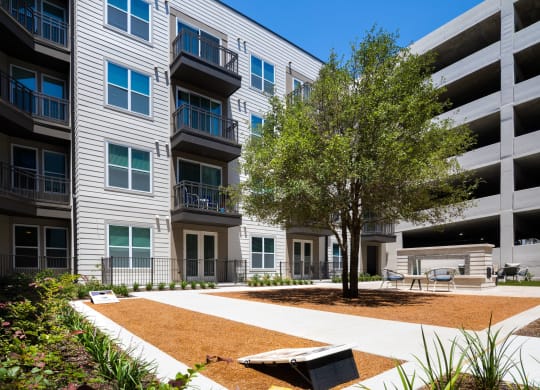 a courtyard with a tree in front of an apartment building