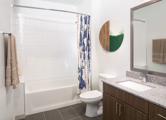 a bathroom with a shower toilet and sink and a mirror