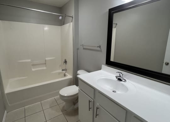 a bathroom with a sink and a toilet and a shower