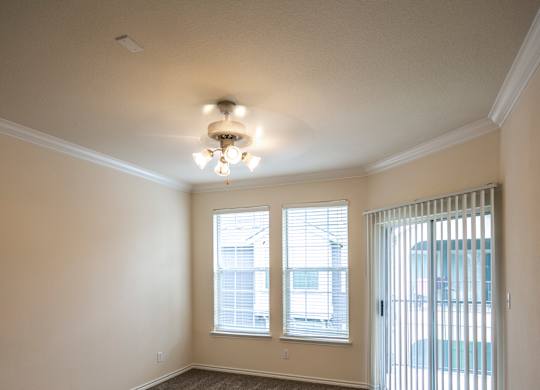 A room with a carpeted floor, a window with blinds, and a sliding glass door.