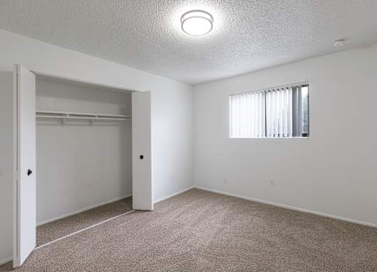 A white bedroom with a carpeted floor and a window with blinds.