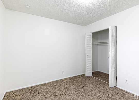 A white room with a carpeted floor and a closet with a mirror.