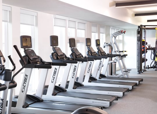 a row of cardio machines in a gym
