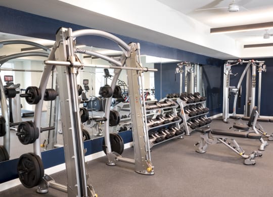 a fitness room with weights and cardio equipment