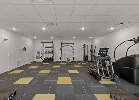 the gym is equipped with cardio equipment and weights