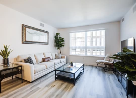 a living room with a couch and a coffee table