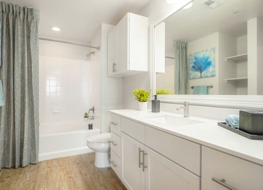 a white bathroom with a shower and a toilet