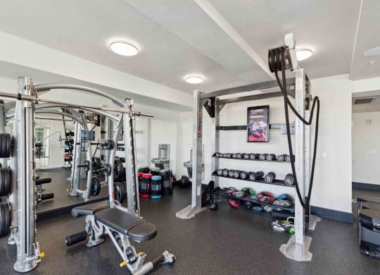 a gym with weights and other equipment in a home