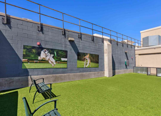 a courtyard with grass and chairs and a dog playing with a frisbee