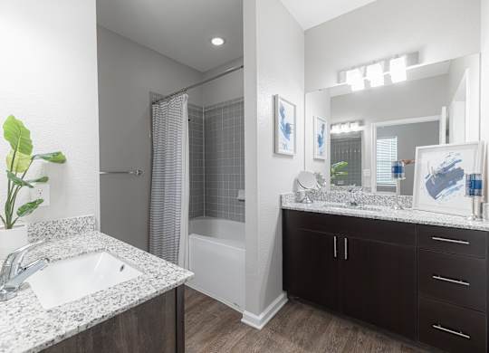 A bathroom with a sink, mirror, and a plant.