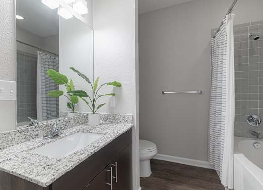 A bathroom with a marble countertop and a plant on it.