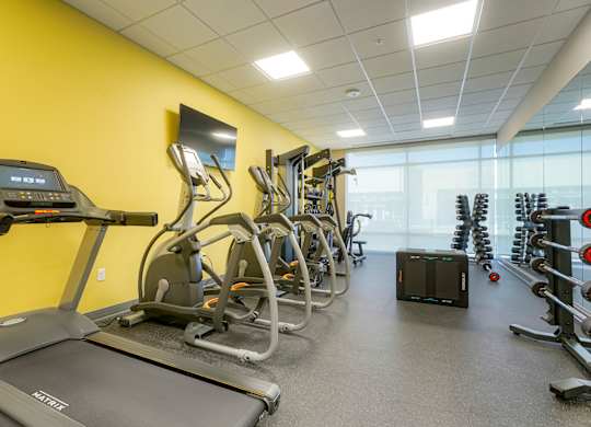 A gym with treadmills, elliptical machines, and other exercise equipment.