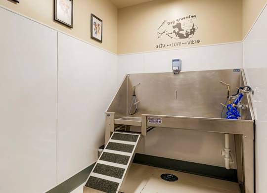 A stainless steel sink in a clean, white-walled bathroom.