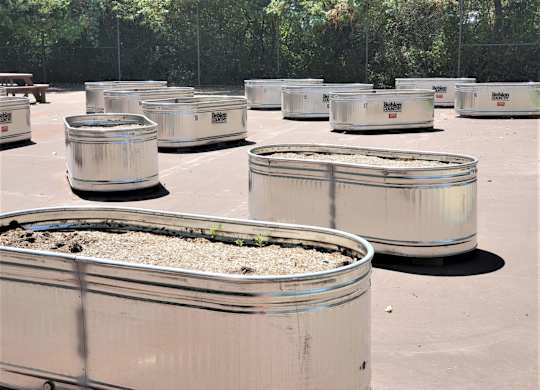 A number of silver barrels are lined up in a parking lot.