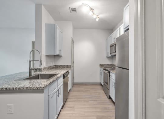 Preserve Renovated Kitchen