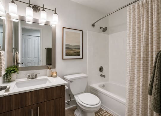 A bathroom with a white toilet, a sink, a mirror, a shower, and a painting on the wall.