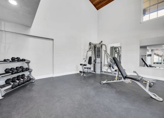 the gym in the owners home
