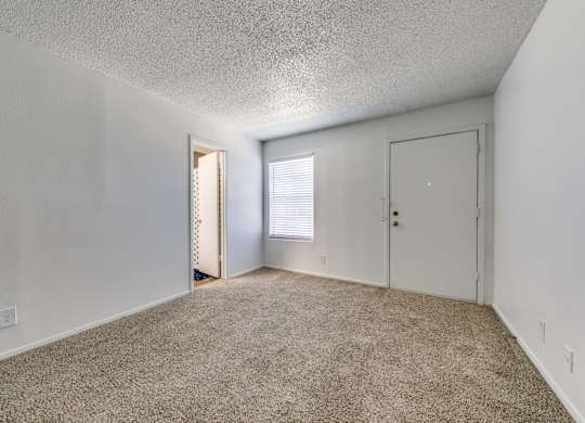 an empty living room with carpet and a door to a closet