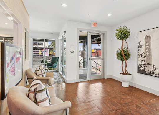 A living room with a couch and a plant.