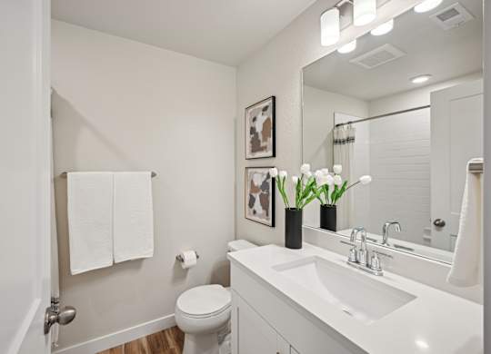 A white bathroom with a toilet, sink, and mirror.