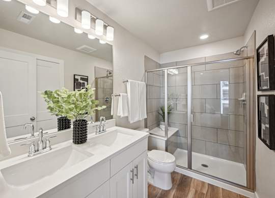 A white bathroom with a glass shower stall and a plant on the counter.