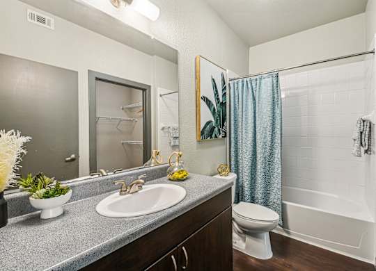 a bathroom with a sink and a shower and a toilet