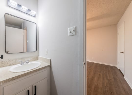 a bathroom with a sink and a mirror