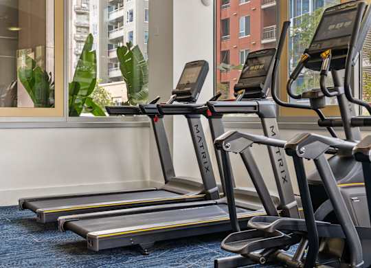 two rows of treadmills in a gym with a large window
